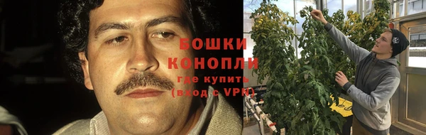 мяу мяу мука Богданович