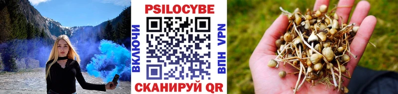 Галлюциногенные грибы Psilocybine cubensis  Дрезна 